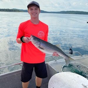 Meet your Posher, Ethan